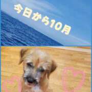 ヒメ日記 2025/10/01 13:32 投稿 みらいエロキレ奥様 俺のジュニア