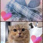 ヒメ日記 2025/10/06 21:36 投稿 みらいエロキレ奥様 俺のジュニア