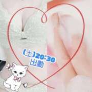 ヒメ日記 2025/10/10 17:46 投稿 みらいエロキレ奥様 俺のジュニア