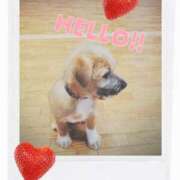 ヒメ日記 2025/10/11 15:56 投稿 みらいエロキレ奥様 俺のジュニア