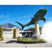 ヒメ日記 2025/10/13 20:26 投稿 みらいエロキレ奥様 俺のジュニア