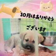 みらいエロキレ奥様 ありがとうございます😚 俺のジュニア