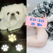 ヒメ日記 2025/12/26 15:50 投稿 みらいエロキレ奥様 俺のジュニア