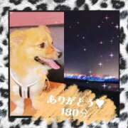 ヒメ日記 2026/01/24 00:36 投稿 みらいエロキレ奥様 俺のジュニア