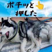 みらいエロキレ奥様 ポチッと👆️ 俺のジュニア