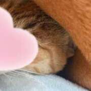 ヒメ日記 2025/03/01 04:36 投稿 るり超かわいこちゃん 俺のジュニア