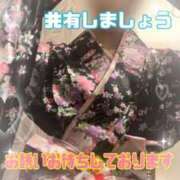 ヒメ日記 2025/06/14 15:16 投稿 リサ抜群のプロポーション 俺のジュニア