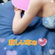 ヒメ日記 2025/10/26 21:06 投稿 リサ抜群のプロポーション 俺のジュニア