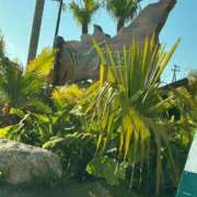 ヒメ日記 2026/02/10 17:36 投稿 リサ抜群のプロポーション 俺のジュニア