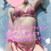 ヒメ日記 2026/02/14 17:56 投稿 リサ抜群のプロポーション 俺のジュニア