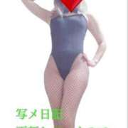 ヒメ日記 2026/02/15 13:16 投稿 リサ抜群のプロポーション 俺のジュニア