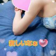 ヒメ日記 2026/06/08 21:16 投稿 リサ抜群のプロポーション 俺のジュニア