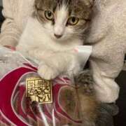 ヒメ日記 2024/12/20 19:38 投稿 空-そら- フォーシーズン