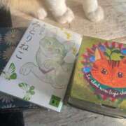 ヒメ日記 2025/02/20 12:28 投稿 空-そら- フォーシーズン