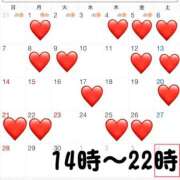 ヒメ日記 2025/09/01 12:28 投稿 空-そら- フォーシーズン