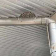 ヒメ日記 2025/09/20 12:28 投稿 空-そら- フォーシーズン