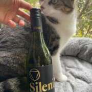 ヒメ日記 2025/11/01 21:38 投稿 空-そら- フォーシーズン