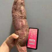 ヒメ日記 2025/11/05 12:20 投稿 空-そら- フォーシーズン