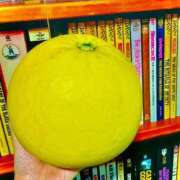 ヒメ日記 2025/12/31 18:58 投稿 空-そら- フォーシーズン