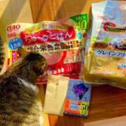 空-そら- 2月22日🐱 フォーシーズン