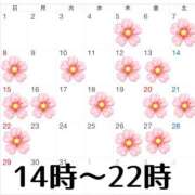 ヒメ日記 2026/03/03 00:28 投稿 空-そら- フォーシーズン