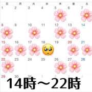 ヒメ日記 2026/03/06 12:08 投稿 空-そら- フォーシーズン