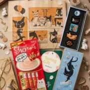 ヒメ日記 2026/03/13 16:18 投稿 空-そら- フォーシーズン