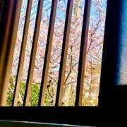 ヒメ日記 2026/03/29 19:28 投稿 空-そら- フォーシーズン