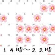 空-そら- 4月シフト🐱 フォーシーズン