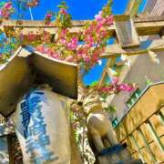 ヒメ日記 2026/04/08 16:48 投稿 空-そら- フォーシーズン