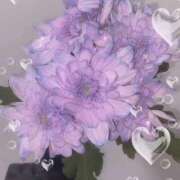 ヒメ日記 2024/12/31 23:00 投稿 ひまり ミルキーラテ