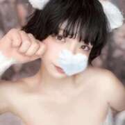 ヒメ日記 2025/01/15 21:45 投稿 あこ C.C.CATS