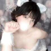 ヒメ日記 2025/01/20 17:06 投稿 あこ C.C.CATS