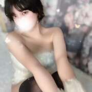 ヒメ日記 2025/01/20 20:06 投稿 あこ C.C.CATS