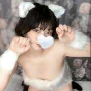 ヒメ日記 2025/02/09 16:46 投稿 あこ C.C.CATS