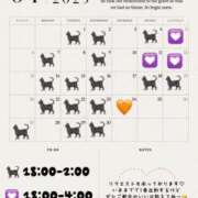 ヒメ日記 2025/04/01 21:26 投稿 あこ C.C.CATS