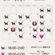 ヒメ日記 2025/04/29 19:27 投稿 あこ C.C.CATS