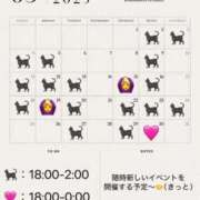 ヒメ日記 2025/05/05 19:44 投稿 あこ C.C.CATS