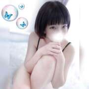 ヒメ日記 2025/07/10 18:21 投稿 あこ C.C.CATS