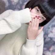 あこ ☑️ C.C.CATS