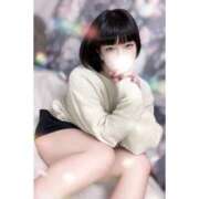 あこ 🌃18:00-0:00🌃 C.C.CATS