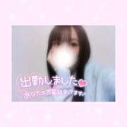 ヒメ日記 2025/04/30 14:46 投稿 如月かれん ABC 岩手ソープ