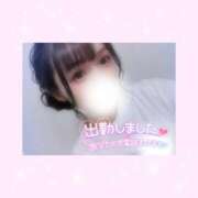 ヒメ日記 2025/06/29 14:46 投稿 如月かれん ABC 岩手ソープ