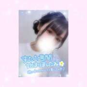 ヒメ日記 2025/07/28 11:46 投稿 如月かれん ABC 岩手ソープ