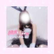 ヒメ日記 2025/10/31 00:01 投稿 如月かれん ABC 岩手ソープ