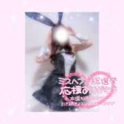 ヒメ日記 2025/11/13 07:16 投稿 如月かれん ABC 岩手ソープ