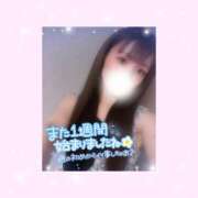 ヒメ日記 2025/11/25 15:01 投稿 如月かれん ABC 岩手ソープ