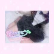 ヒメ日記 2025/11/25 23:46 投稿 如月かれん ABC 岩手ソープ