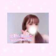 ヒメ日記 2026/03/29 15:01 投稿 如月かれん ABC 岩手ソープ