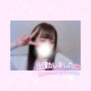 ヒメ日記 2026/05/02 15:01 投稿 如月かれん ABC 岩手ソープ